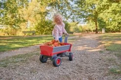Set Häuschen Auf Säulen Pilings House Smoby Mit 1,5 M Rutsche Und Ein Abschleppwagen Peppy Handwagen Mit Schwenkrädern -Spielzeug Theater Verkäufe 800056602 c big vozik tahaci