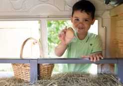 Hühnerstall Für 5 Hühner Cluck Cluck Cottage Beige Smoby 4 Türen Mit Treppe Und Einem Futtertrog Und Einem Nest Mit Einem Künstlichen Ei SM890100 -Spielzeug Theater Verkäufe 890100 j smoby kurin