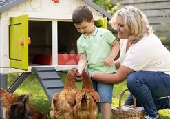 Hühnerstall Für 5 Hühner Cluck Cluck Cottage Green Smoby 4 Türen Mit Treppe Und Einem Futtertrog Und Einem Nest Mit Einem Künstlichen Ei 128 Cm Höhe SM890101 -Spielzeug Theater Verkäufe 890101 u smoby kurin