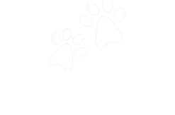 Set Häuschen Pretty Blue Smoby Mit Sommerküche Und Sandkasten Sandy Mit Deckel Ab 24 Monaten -Spielzeug Theater Verkäufe logo big